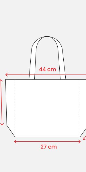 Non woven shopping bag 44 X 30 X 10 cm 
