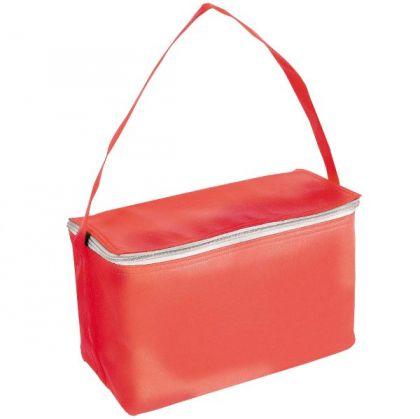 Cooler bags with handle