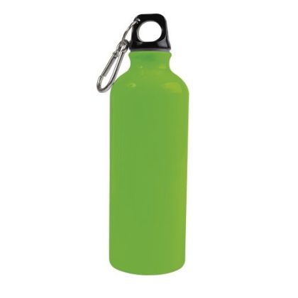 Drinking bottle with carabiner 